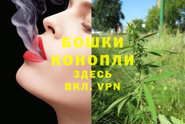 молекула духа Вязьма