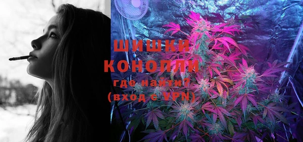 молекула духа Вязьма
