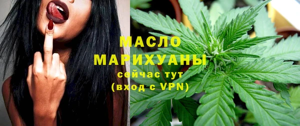 молекула духа Вязьма