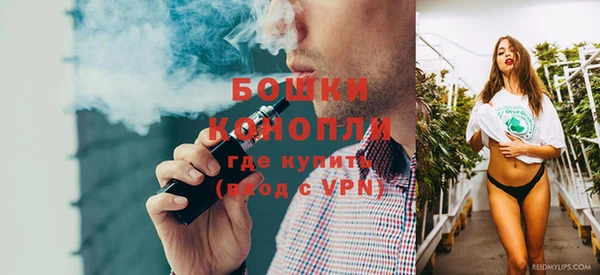 молекула духа Вязьма