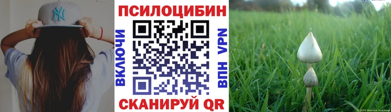 Купить где  Уяр  Галлюциногенные грибы Cubensis 